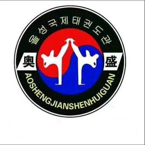 丰镇市奥盛武术许老师头像