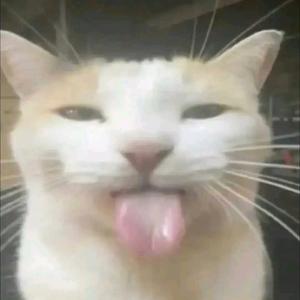 又拉黑我呢头像