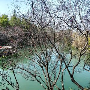 用户94099116152拒绝私聊头像