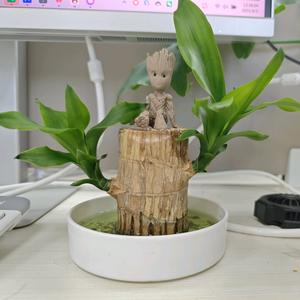 future头像