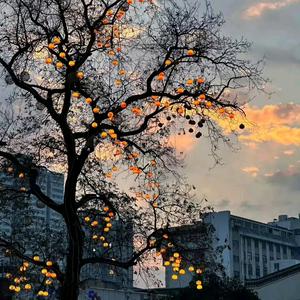 好事花生888头像