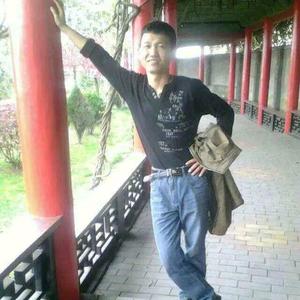 河南安阳崔家桥镇韩宋村杨门勇哥头像