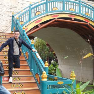 Pi 藤藤菜·π头像