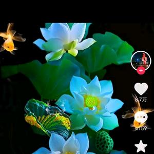 不懂，就问？头像