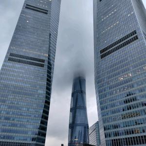 快乐无脚鸟头像
