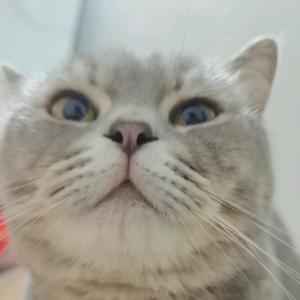 🌈妥妥的妥头像