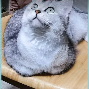 健豪日用品创意屋头像