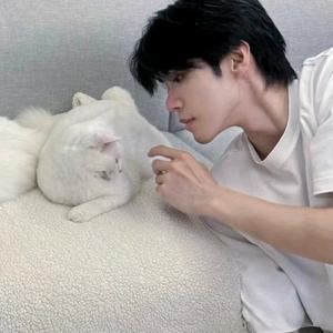 学院收藏家头像