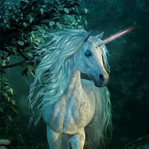 桦甸赵同学鸿宇二手车头像