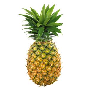 BioBio(Porter.)头像