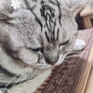 一筒在三亚头像
