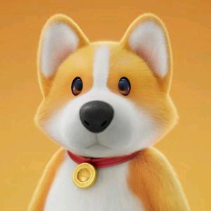 二哈会武术头像