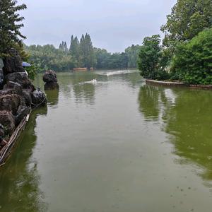 Best河阳大街店～紫轩头像