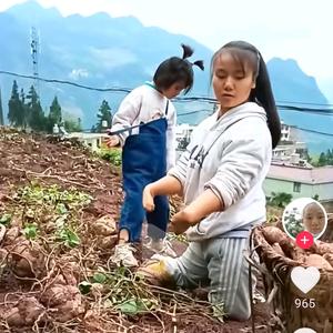 李朝勤（大妹）头像