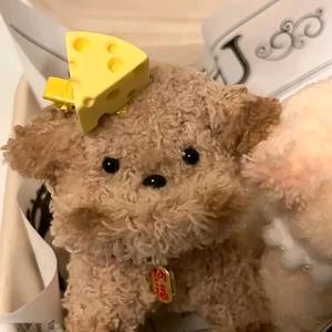 爱学口语的利恩呀头像