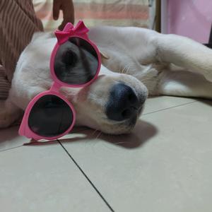 🧂叮叮咚咚头像