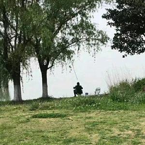 上海正谊源信息咨询有限公司（春风绿岸）头像