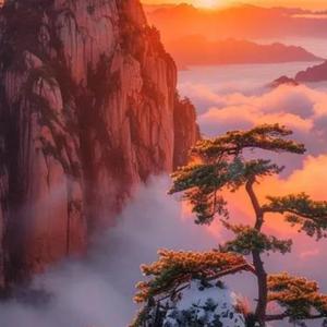 爱穿牛仔裤的我头像