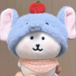 阿华甜波波冰头像