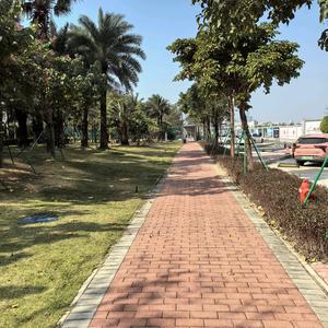 60后沿途风景头像