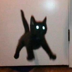 换胃思烤🍫头像