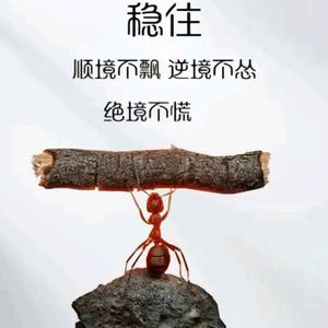 外墙美家装饰头像