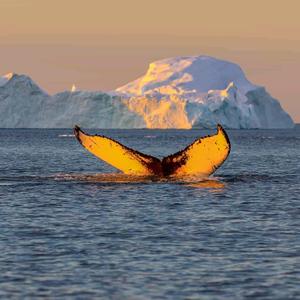 水水故事会头像
