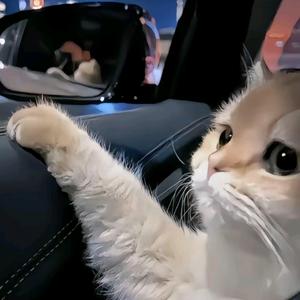 元元（推文）头像