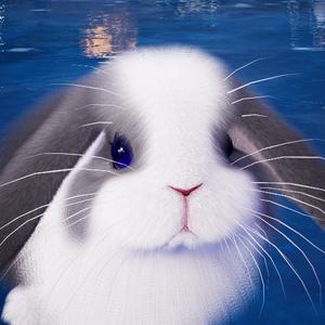 优雅的芬达啊（限流求赞版）头像