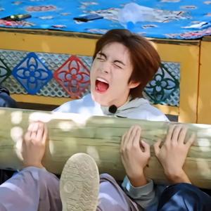 🍓莓你不行🌾头像