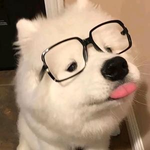 五香味的牛肉干头像