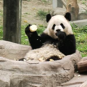 没有那么多🌷头像