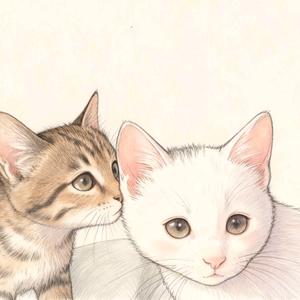 布嘟睡成饼头像