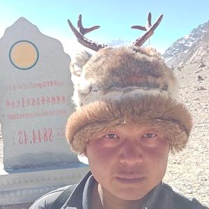 时空奔楼兰头像