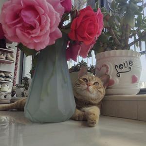 且行且珍惜头像