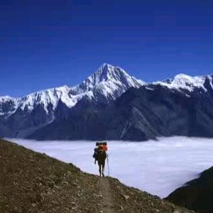 飞鱼12345🐠头像