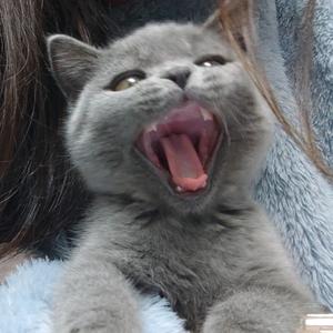 只会比耶✌🏻头像