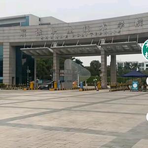 wyf3818196头像