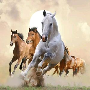 钱➠程似锦☞头像