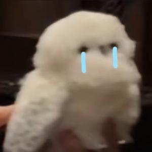 我请问呢？头像