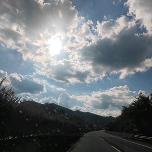 泡脚知识库头像