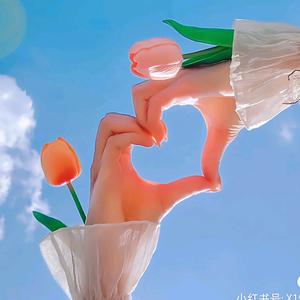 揭晓晓头像