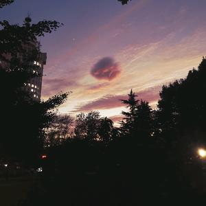 喵神不是神头像