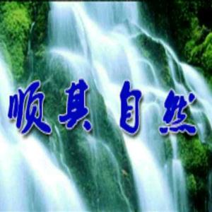 顺其自然SHUNGIZIYAN头像