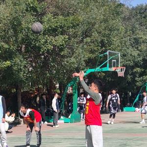 不吃香菜的牛又面头像