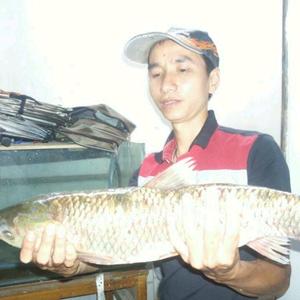 五峰钓具阿志头像