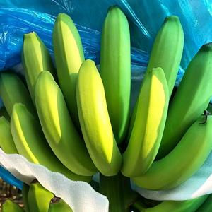 水果代办五哥头像