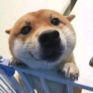 创业摆摊的连连看头像