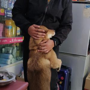 详情见主页头像