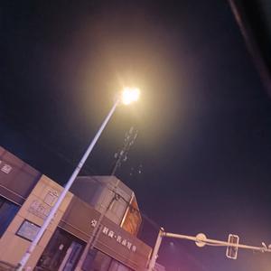 🌹🌹🌹💞💞💞💞💜💜头像